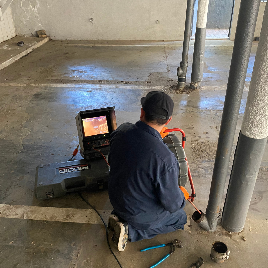 Ralph Rocha: American Plumber Stories